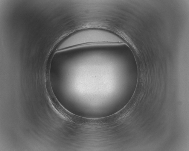 X0000075870530200609150944