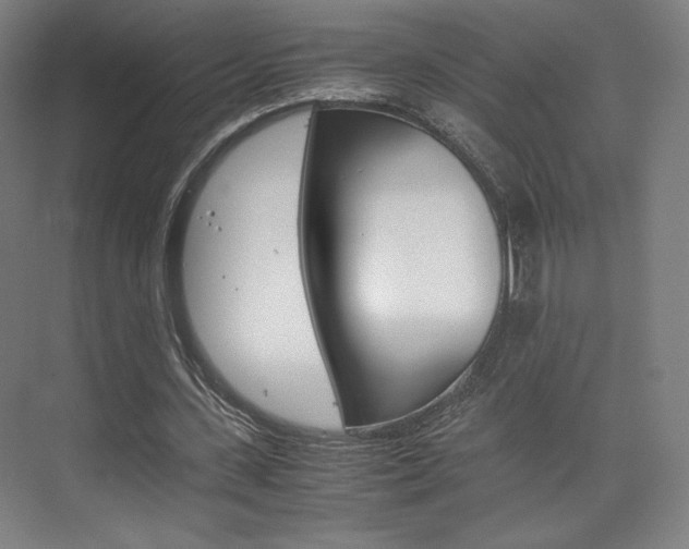 X0000075870531200609150944