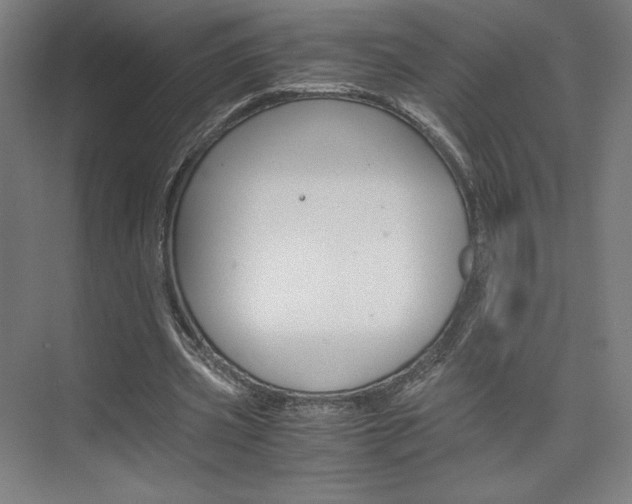 X0000075870533200609150944