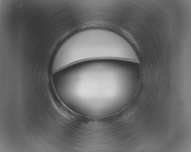X0000075870538200609150944