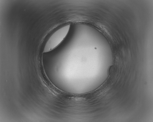 X0000075870539200609150944