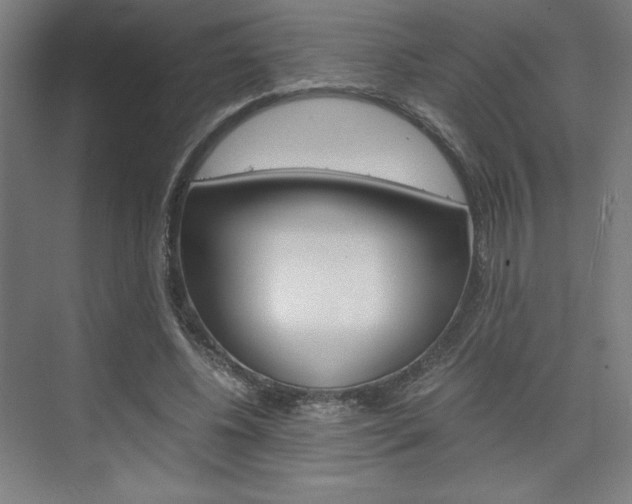 X0000075870540200609150944