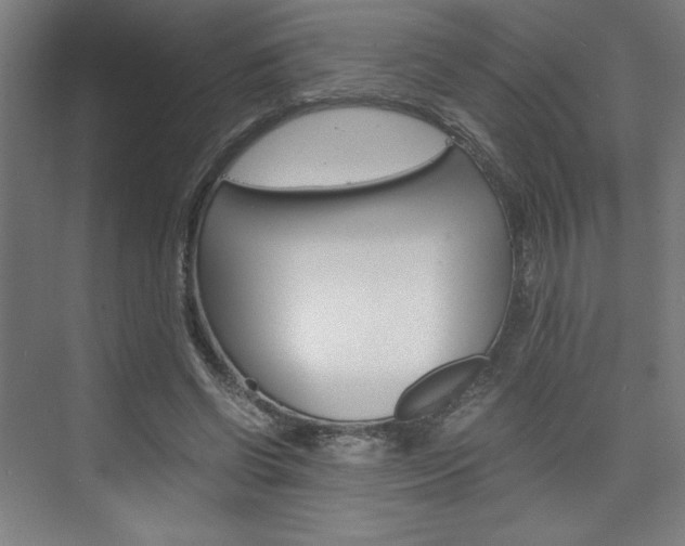 X0000075870542200609150944