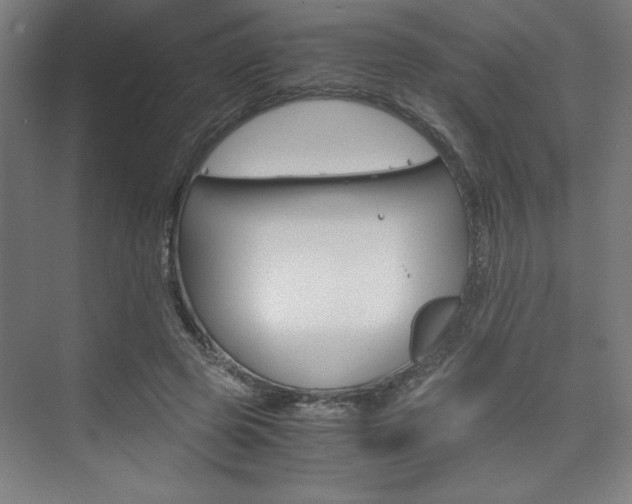 X0000075870545200609150944