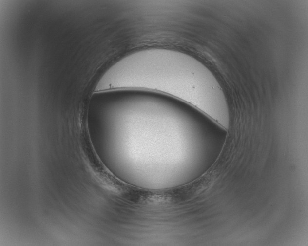 X0000075870546200609150944
