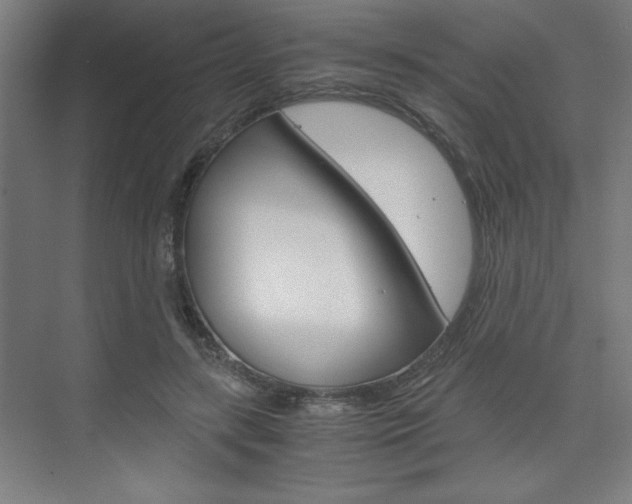 X0000075870547200609150944