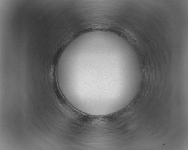 X0000075870550200609150944