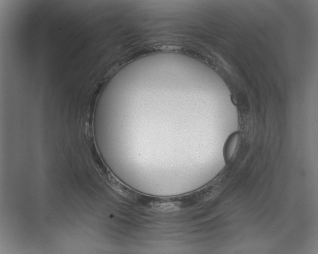 X0000075870553200609150944