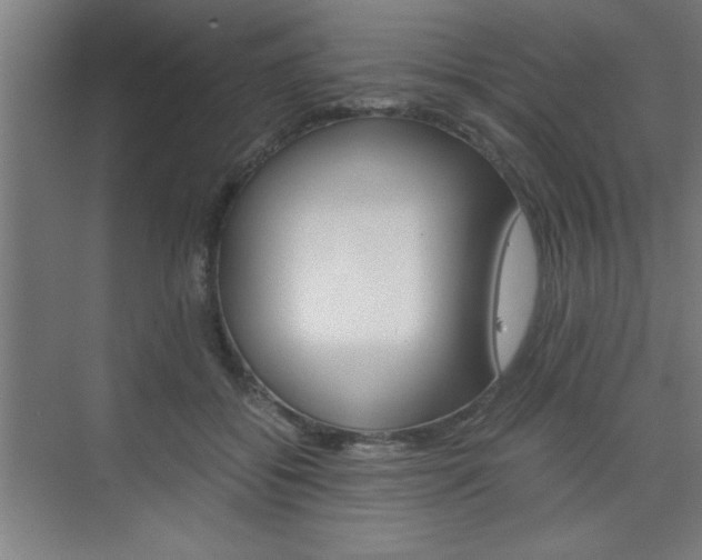 X0000075870556200609150944