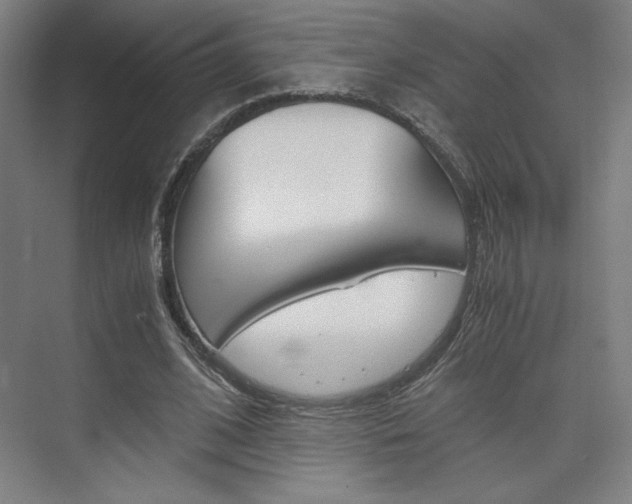 X0000075870584200609150944