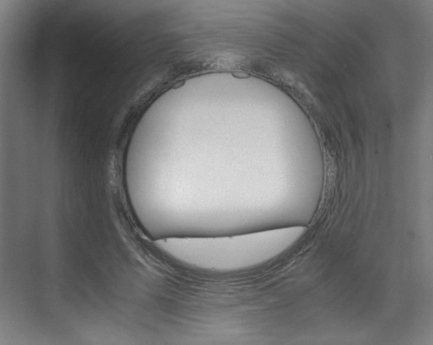 X0000075870591200609150943