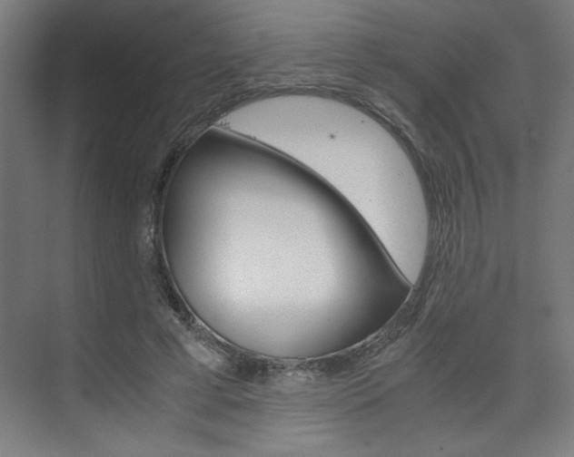 X0000075870593200609150943