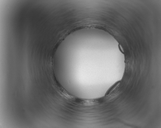 X0000075870623200609150943