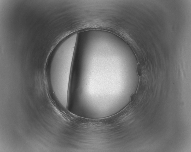 X0000075870626200609150942