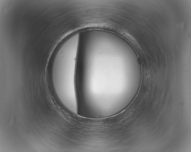 X0000075870628200609150942