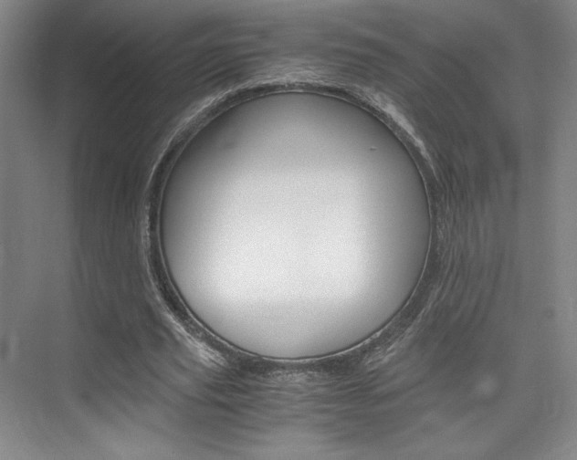 X0000075870629200609150942