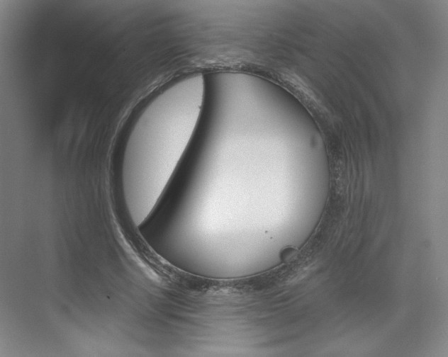 X0000075870634200609150942