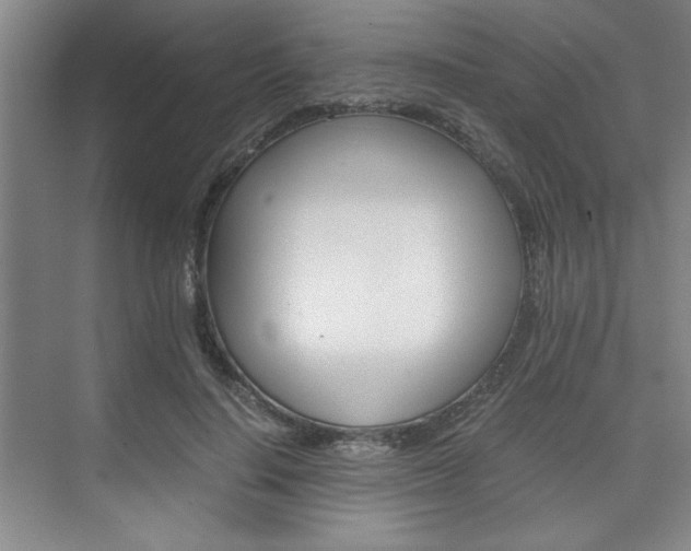 X0000075870644200609150942