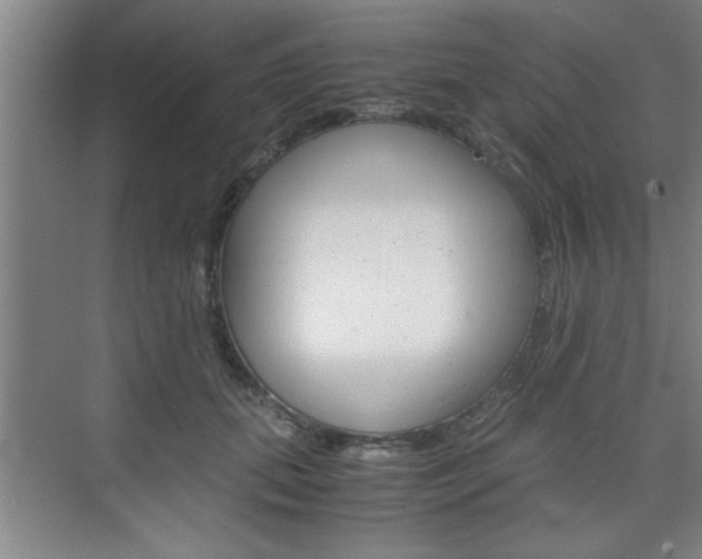 X0000075870655200609150943