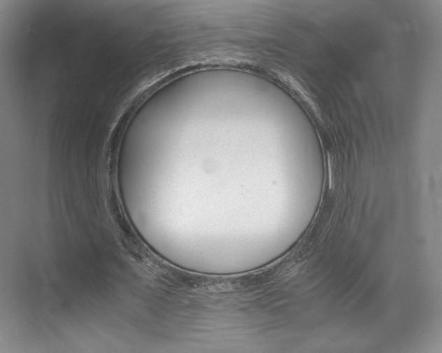 X0000075870675200609150942