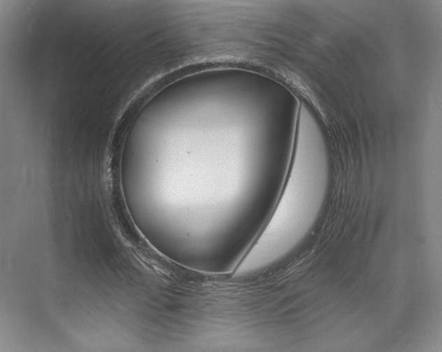 X0000075870676200609150942