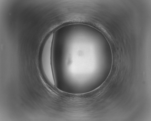 X0000075870677200609150942