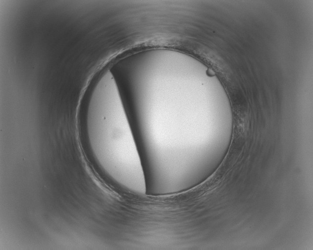 X0000075870678200609150942