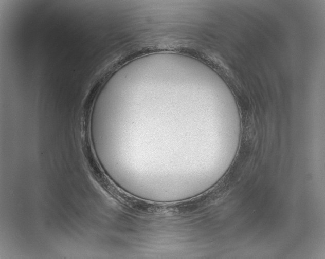 X0000075870683200609150942