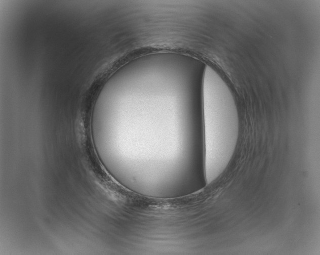 X0000075870688200609150942