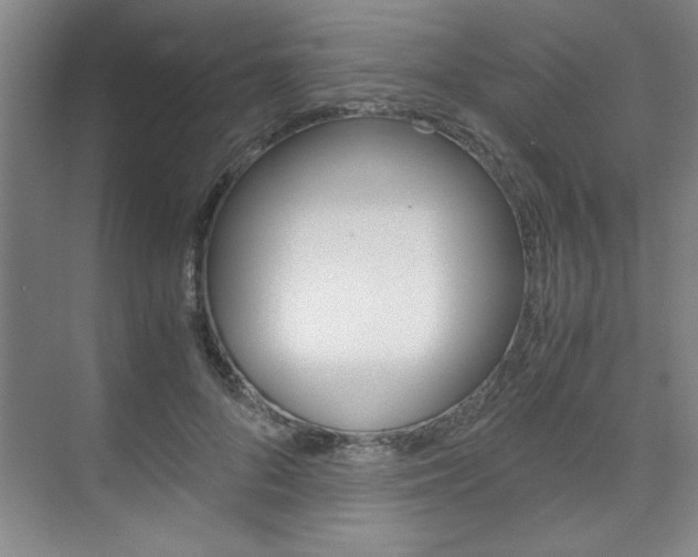 X0000075870696200609150942