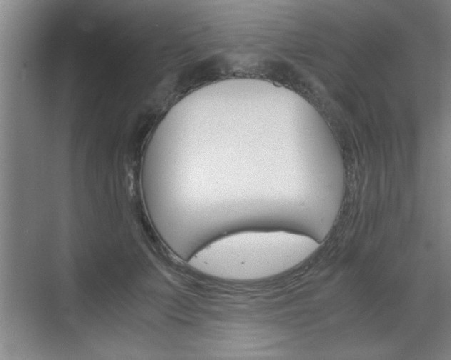X0000075870703200609150942