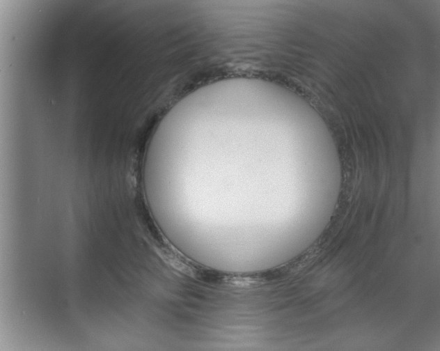 X0000075870710200609150941