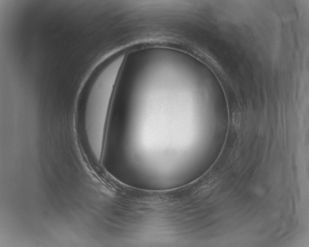 X0000075870724200609150940