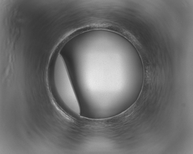 X0000075870726200609150941