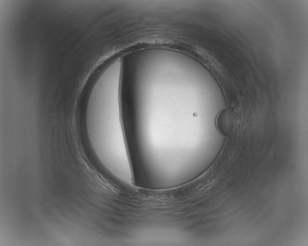 X0000075870727200609150941