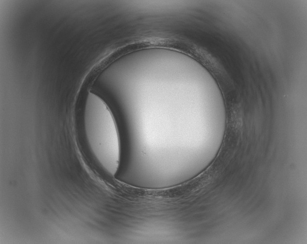 X0000075870730200609150941