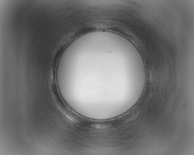 X0000075870733200609150941