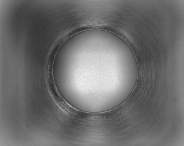 X0000075870736200609150941