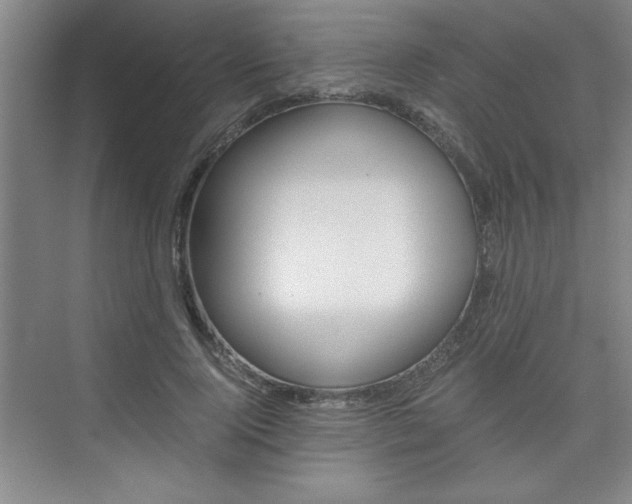 X0000075870740200609150941