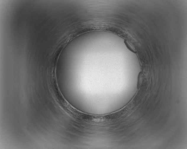 X0000075870744200609150941