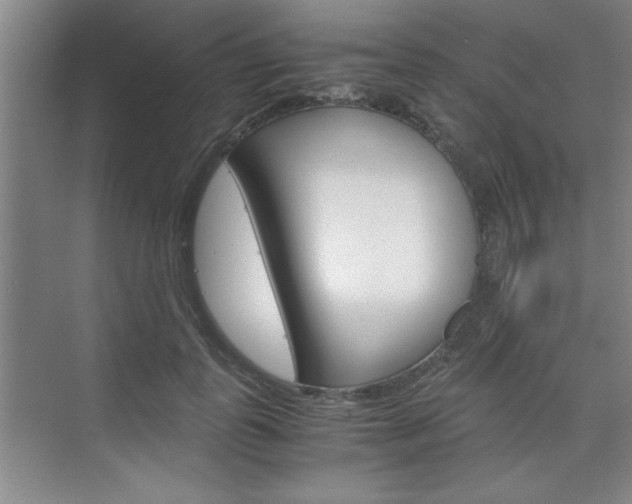 X0000075870747200609150941