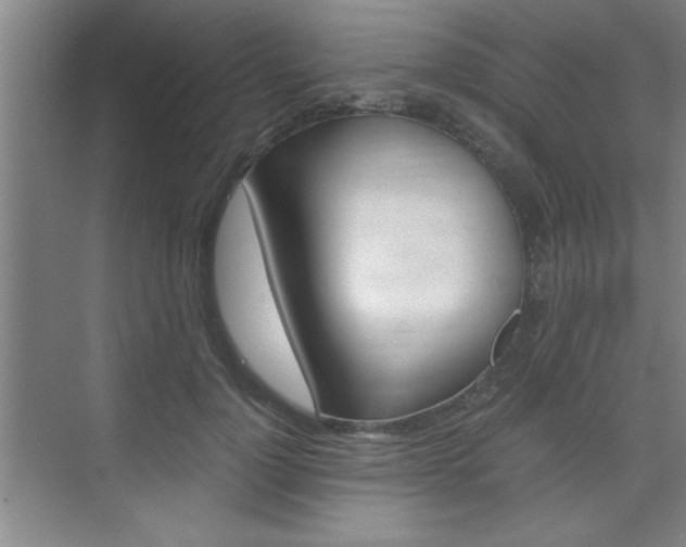 X0000075870748200609150941