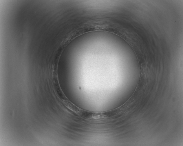 X0000075870752200609150941