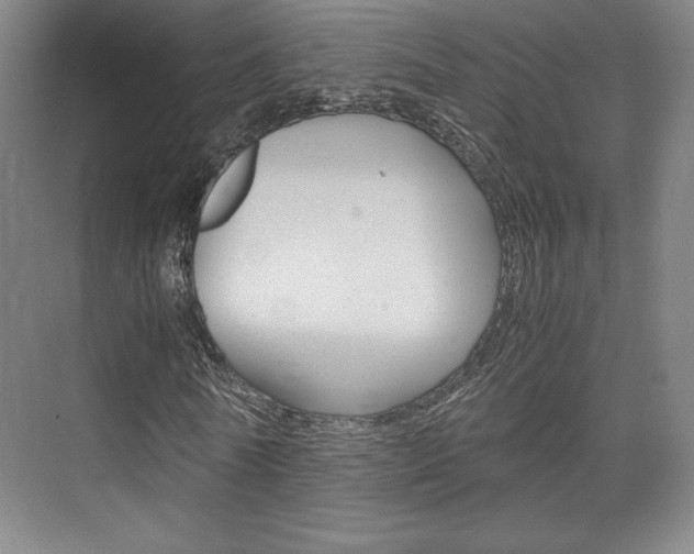X0000075870770200609150940