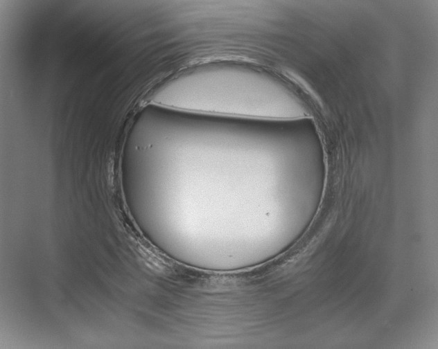 X0000075870777200609150940