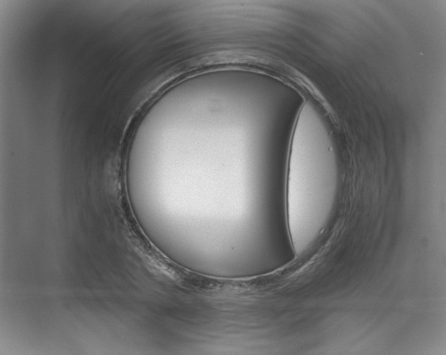 X0000075870786200609150940
