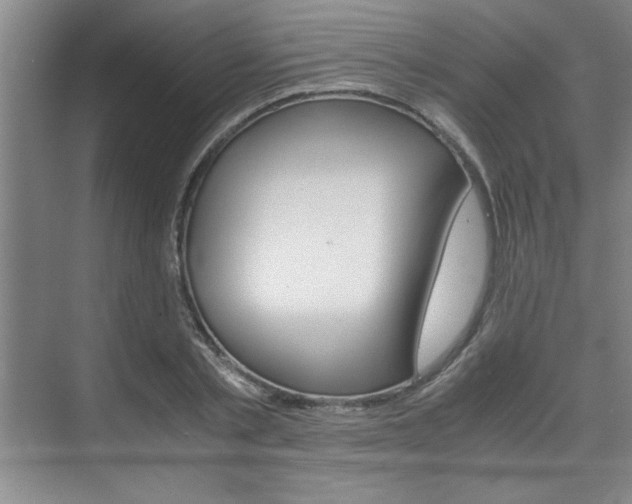 X0000075870789200609150940