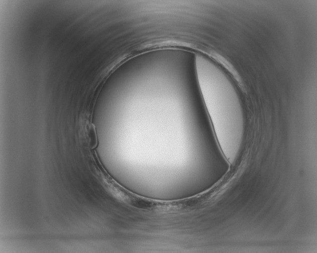 X0000075870793200609150940