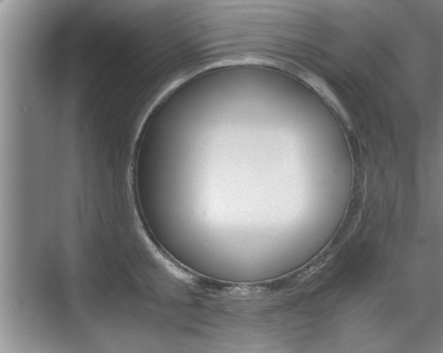 X0000075870805200609150940