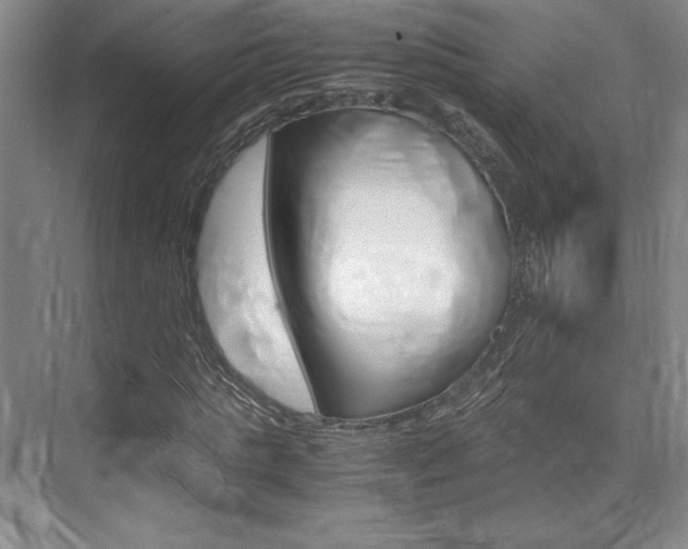 X0000075870821200609150939